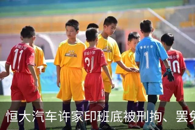恒大汽车许家印班底被刑拘、罢免、劝退